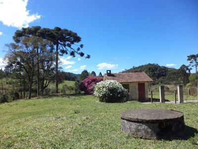 Chcara para Venda, em Campo Alegre, bairro So Miguel