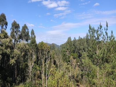 Chcara para Venda, em Campo Alegre, bairro Bateias de Baixo