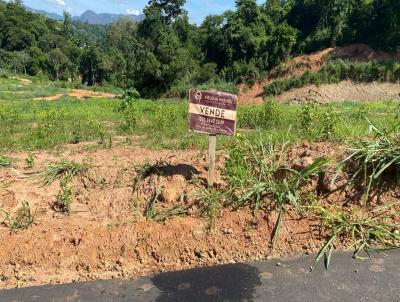 Lote para Venda, em Timteo, bairro NOVO HORIZONTE