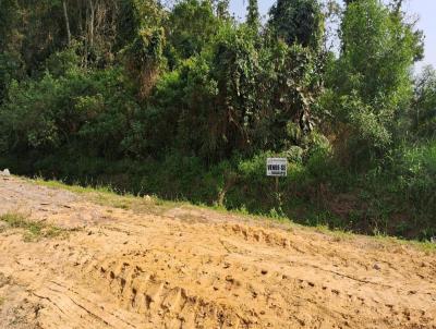 Terreno para Venda, em Barra Velha, bairro QUINTA DOS AORIANOS