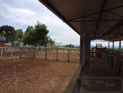 Fazenda para Venda, em Prudentpolis, bairro 