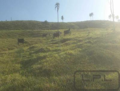 Stio para Venda, em Nova Laranjeiras, bairro 