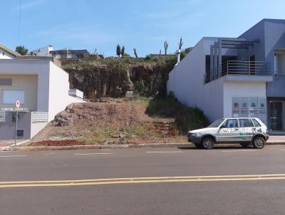 Terreno para Venda, em So Jos do Cedro, bairro BAIRRO CENTRO