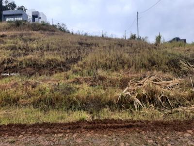Terreno para Venda, em S�o Jos� do Cedro, bairro Loteamento Alta Colina