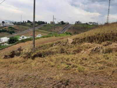 Terreno para Venda, em So Jos do Cedro, bairro Loteamento Alta Colina