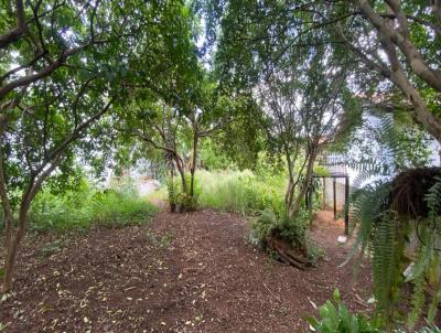 Terreno para Venda, em Tatu, bairro Centro