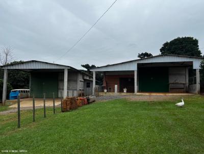 Galpo para Venda, em Tapera, bairro ALAGADO PASSO REAL