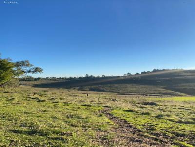 Campo para Venda, em Santana do Livramento, bairro Cerro do Chapu