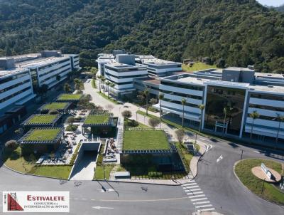 Sala Comercial para Venda, em Florianpolis, bairro Saco Grande, 8 banheiros, 12 vagas