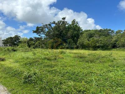 Terreno para Venda, em Florianpolis, bairro Ribeiro da Ilha