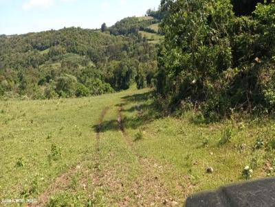 rea Rural para Venda, em Alto Alegre, bairro Interior de Treze de Maio