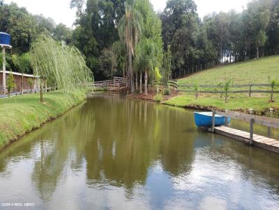 Stio / Chcara para Venda, em Espumoso, bairro Interior, 4 dormitrios, 3 banheiros, 1 vaga