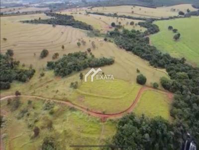 Fazenda para Venda, em So Sebastio do Paraso, bairro Municipio Itamogi