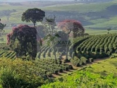 Fazenda para Venda, em So Sebastio do Paraso, bairro ZONA RURAL