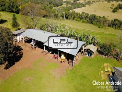 Fazenda para Venda, em Nova Laranjeiras, bairro COMUNIDADE PAIQUERE