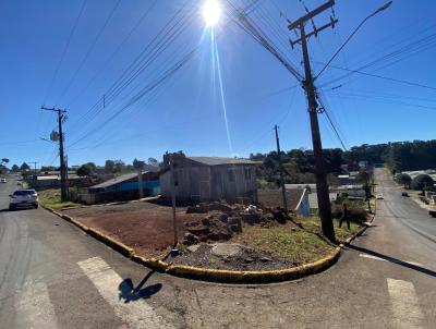 Terreno para Venda, em Palmas, bairro Santa Cruz