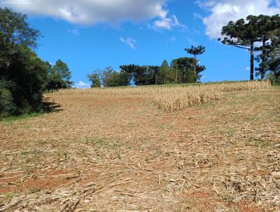 rea para Venda, em Marau, bairro .