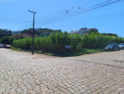 Terreno para Locao, em Marau, bairro Guadalupe