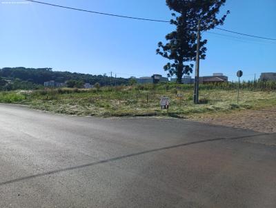 Terreno para Venda, em Marau, bairro Villa Bella