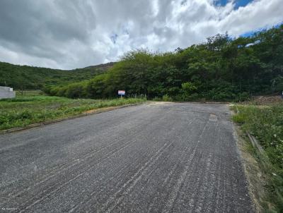 Terreno para Venda, em Jacobina, bairro Flix Tomaz