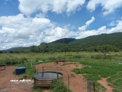 Fazenda para Venda, em Alto Paraguai, bairro rural