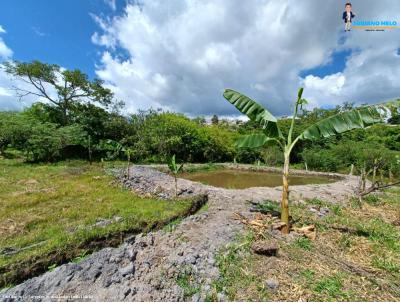 Chcara para Venda, em Muzambinho, bairro Brejo Alegre