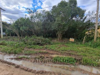 Terreno para Venda, em Tapes, bairro Pinvest