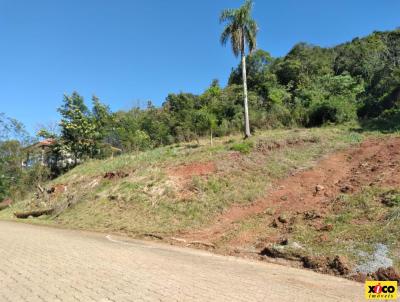 Terreno para Venda, em Nova Petrpolis, bairro Pousada da Neve