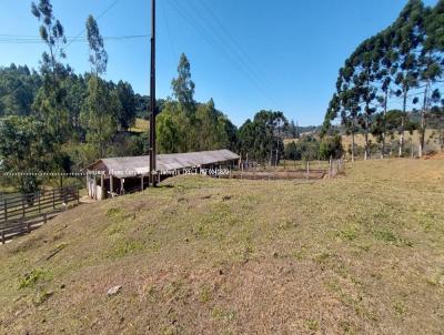 Stio para Venda, em Muzambinho, bairro 13 km de Muzambinho