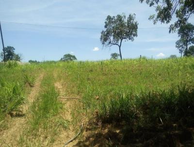 Chcara para Venda, em Bela Vista de Gois, bairro 