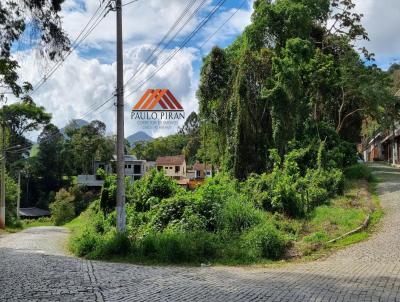 Terreno para Venda, em Nova Friburgo, bairro Braunes