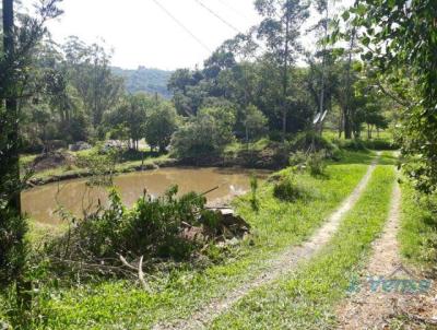 Chcara para Venda, em Nova Hartz, bairro Zona Rural