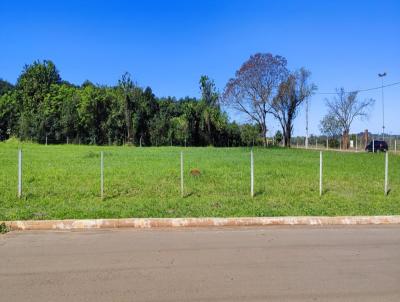 Terreno para Venda, em , bairro Bettim