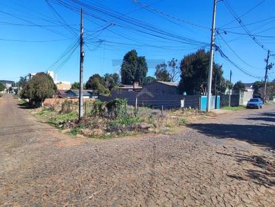 Terreno para Venda, em So Borja, bairro CENTRO