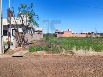 Terreno para Venda, em So Borja, bairro Outro