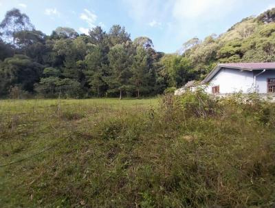 Terreno para Venda, em So Bento do Sul, bairro SERRA ALTA