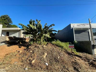 Terreno para Venda, em Estncia Velha, bairro Rinco dos Ilhus