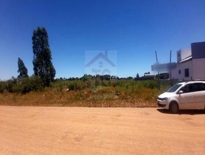 Terreno para Venda, em Bag, bairro Tarum