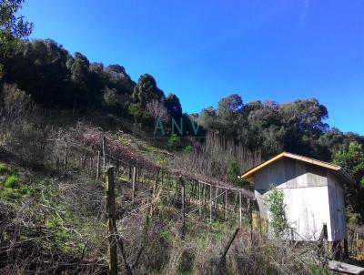 rea para Venda, em Caxias do Sul, bairro Monte Brico