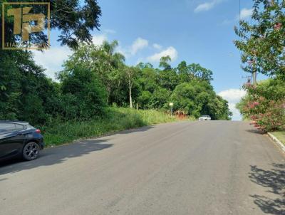 Terreno para Venda, em Sapiranga, bairro So Luiz