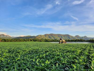 Fazenda para Venda, em Monte do Carmo, bairro FAZENDA