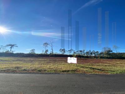 Terreno para Venda, em Frederico Westphalen, bairro Loteamento Alto Primavera