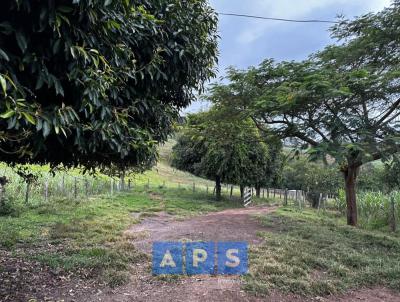 Terreno para Venda, em Crucilndia, bairro Crucilndia, 4 dormitrios, 1 banheiro