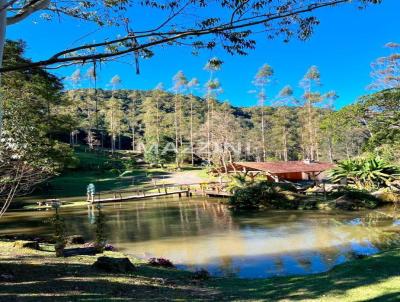 Stio para Venda, em Rio do Sul, bairro Itoupava, 2 banheiros