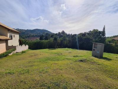 Terreno para Venda, em Campinas, bairro Joaquim Egdio