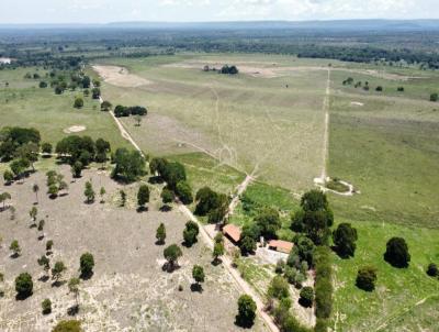 Fazenda para Venda, em Vrzea da Palma, bairro ZONA RURAL