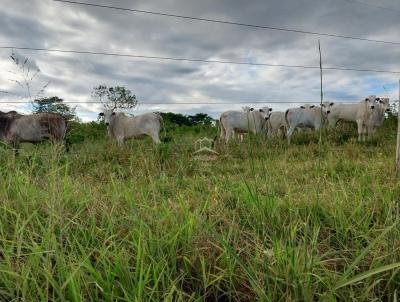 Chcara para Venda, em Montes Claros, bairro ZONA RURAL