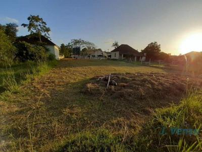 Terreno para Venda, em Sapiranga, bairro Amaral Ribeiro