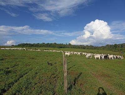 Fazenda para Temporada, em , bairro Zona Rural