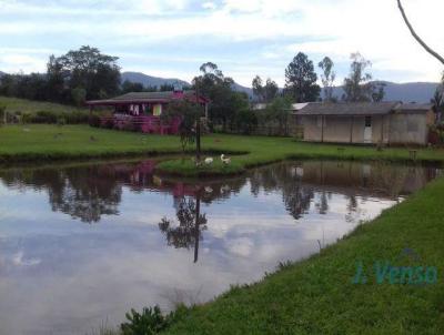 Chcara para Venda, em Nova Hartz, bairro Campo Vicente